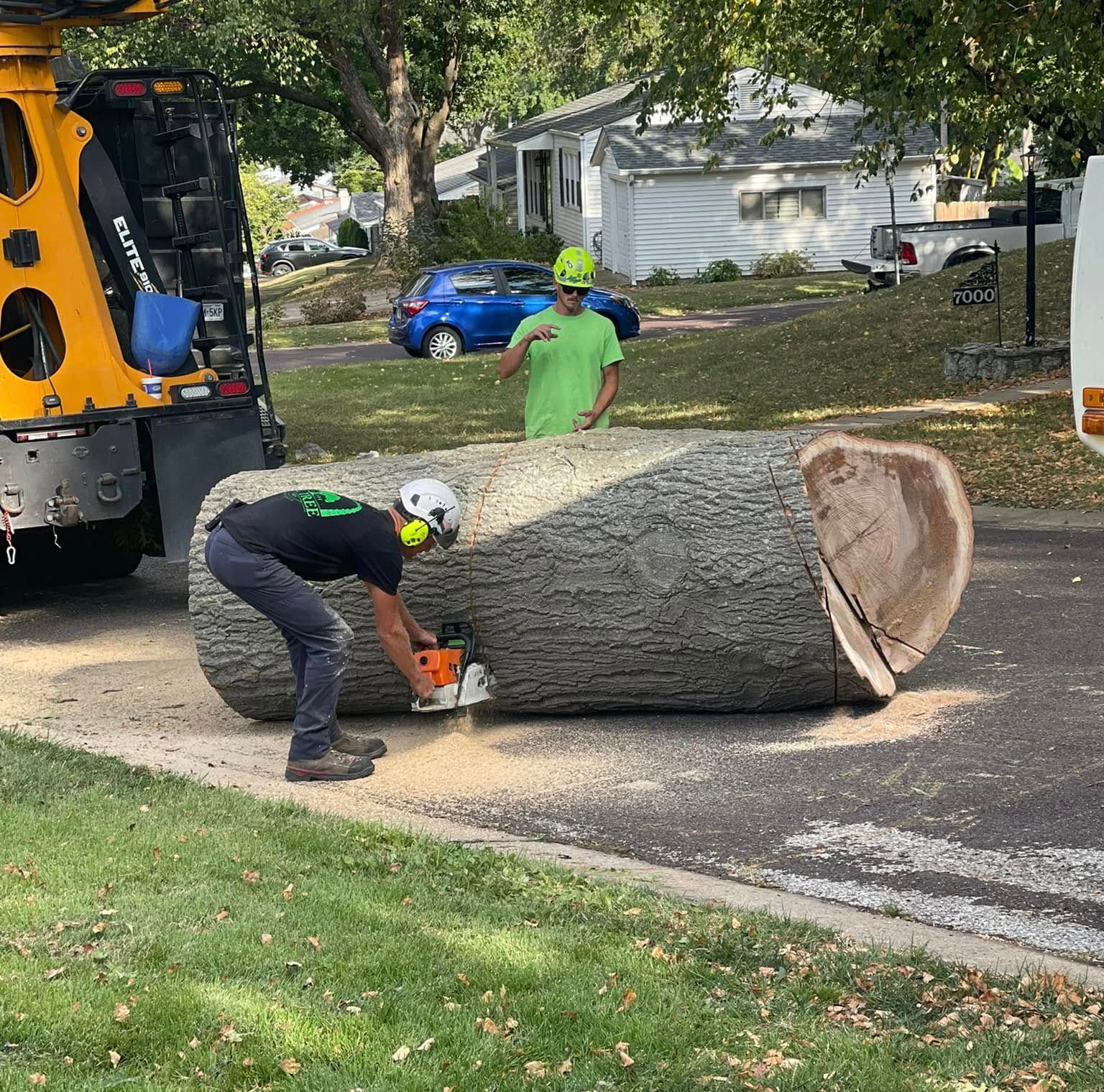 STL Tree Services