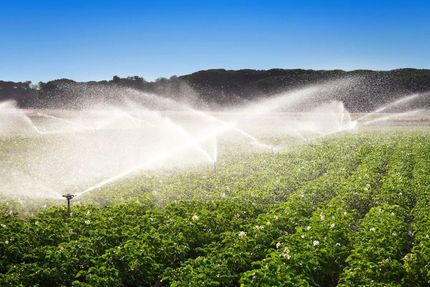 Sprinklers watering a lush green field under bright sunlight