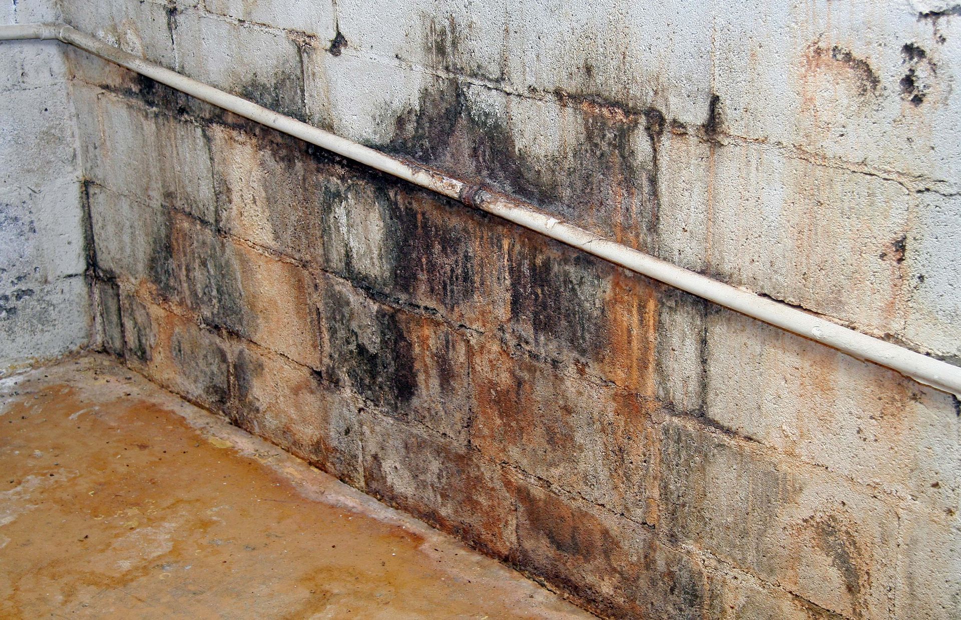 Damp concrete block basement wall with dark stains and a white pipe.