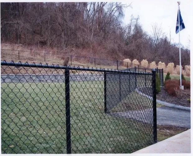 Black chain-link fence surrounds a grassy area, with a hillside of bare trees in the background.