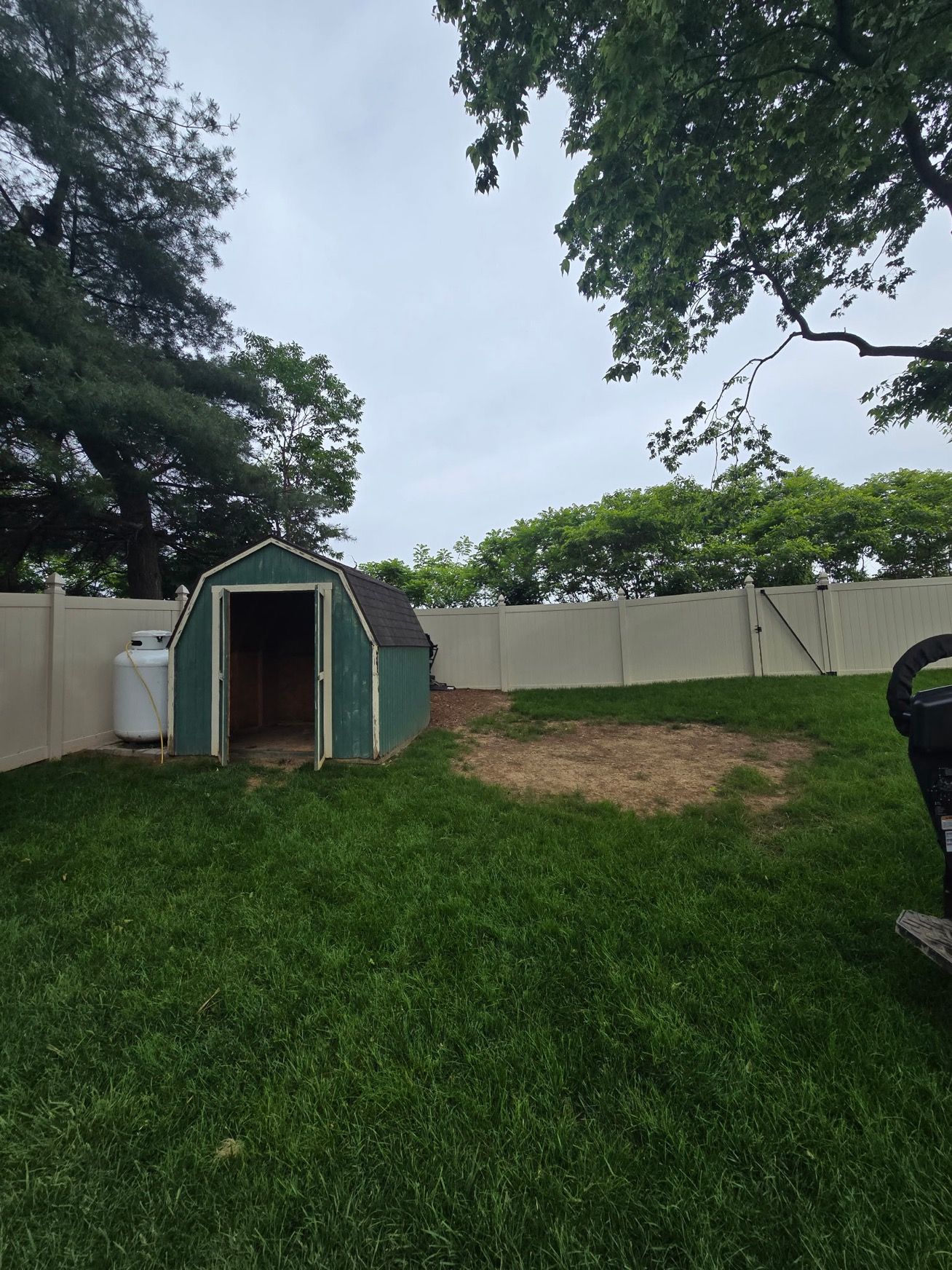 A green shed is sitting in the middle of a lush green yard.