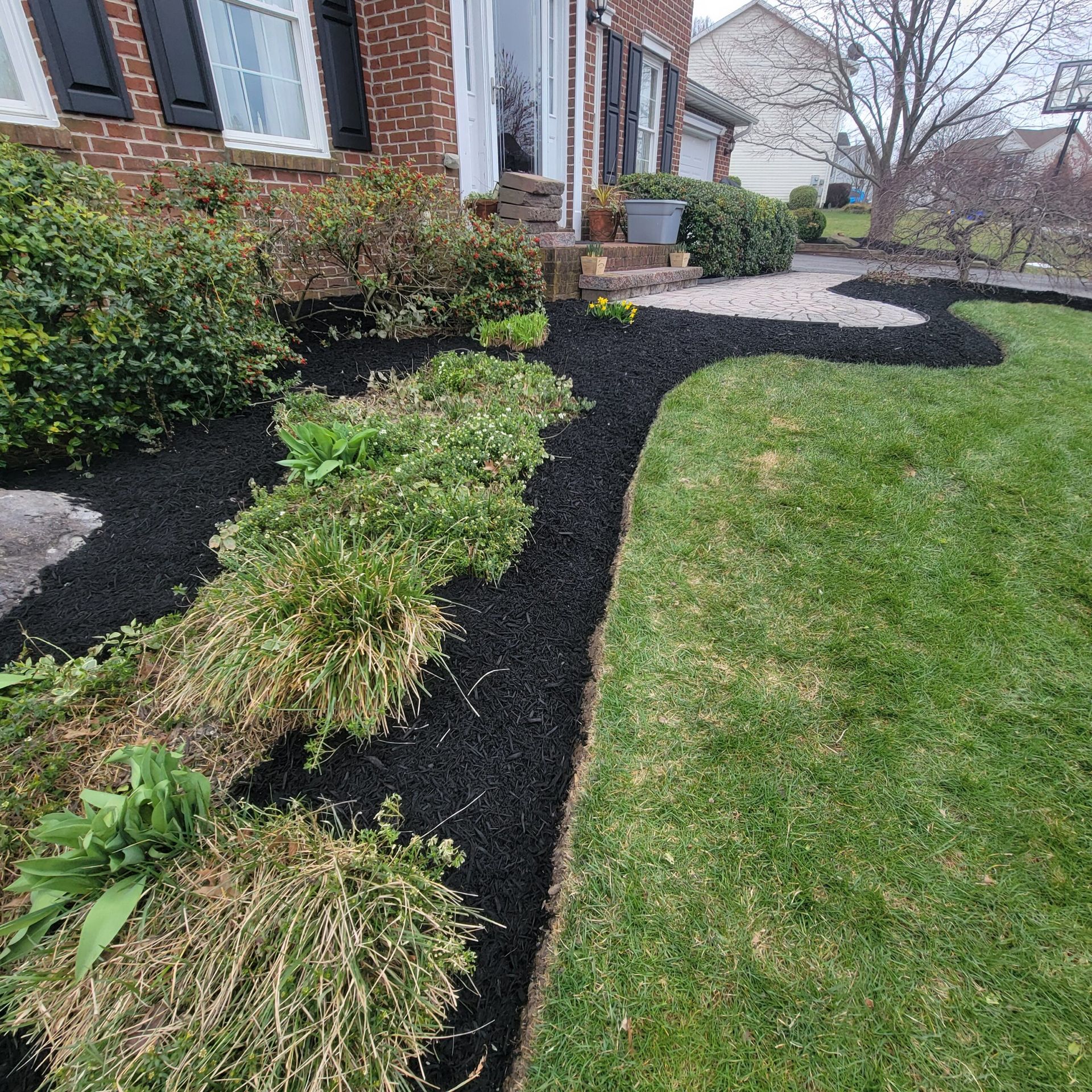 A brick house with a lush green lawn and black mulch in front of it.