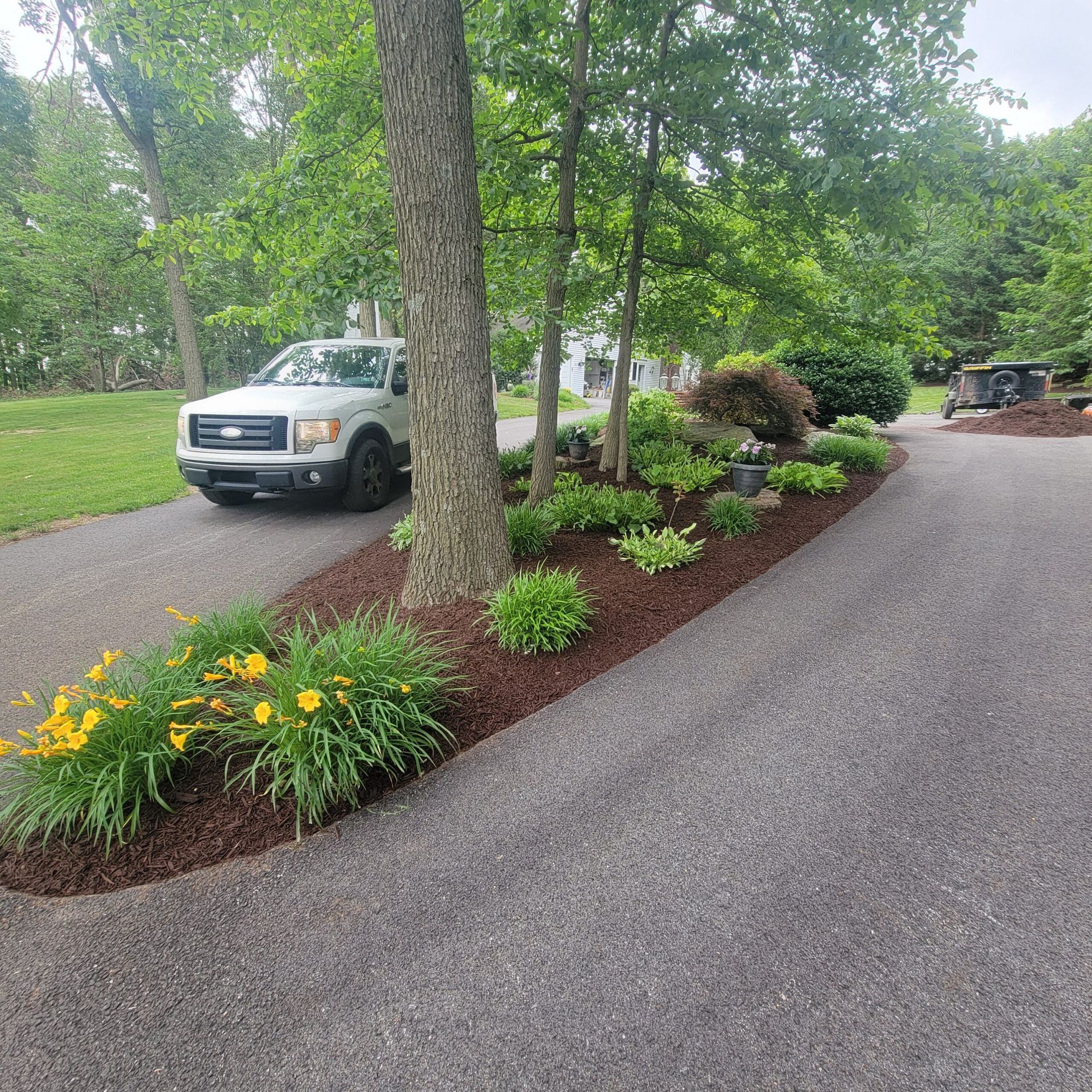A white truck is parked in a driveway next to a tree.