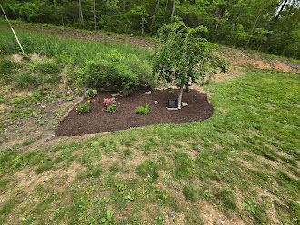 An aerial view of a lush green field with a tree in the middle.