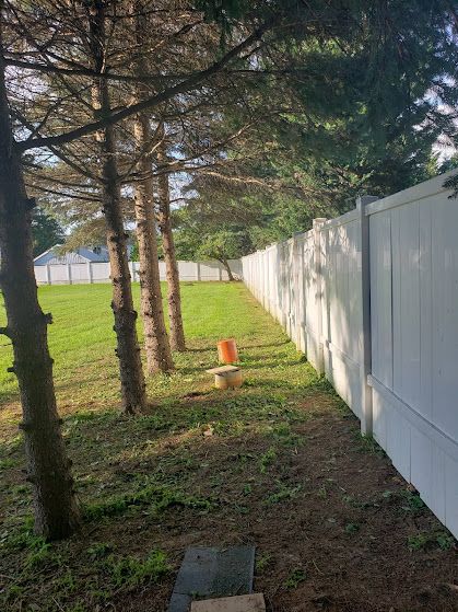 A white fence is surrounded by trees and grass in a yard.