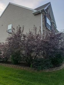 A house with a purple bush in front of it.