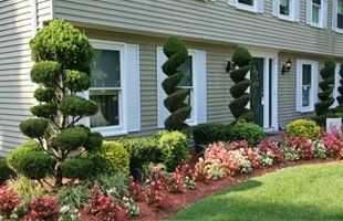Landscaping | Chester, NY | Greenwood Tree Service | 845-469-5393