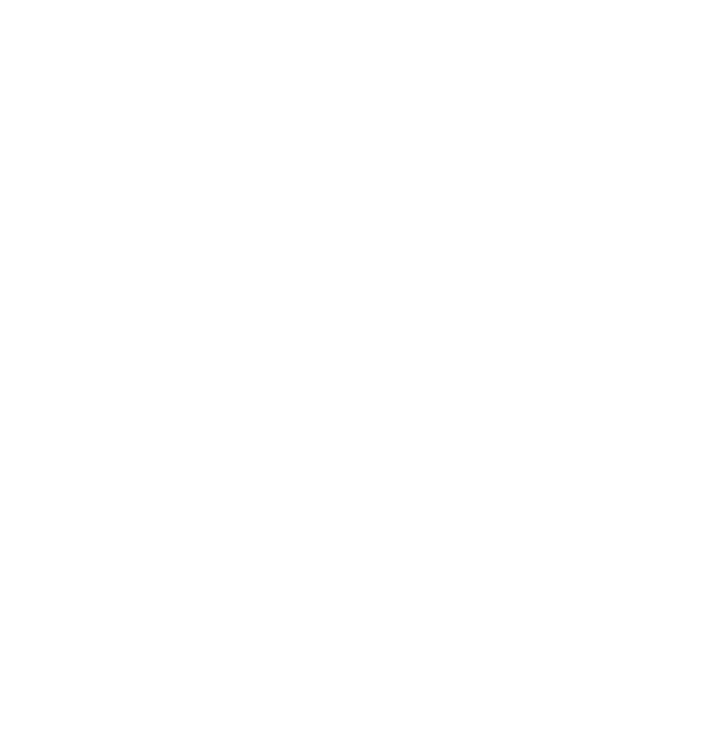 Prime Life Wellness & Health Logo