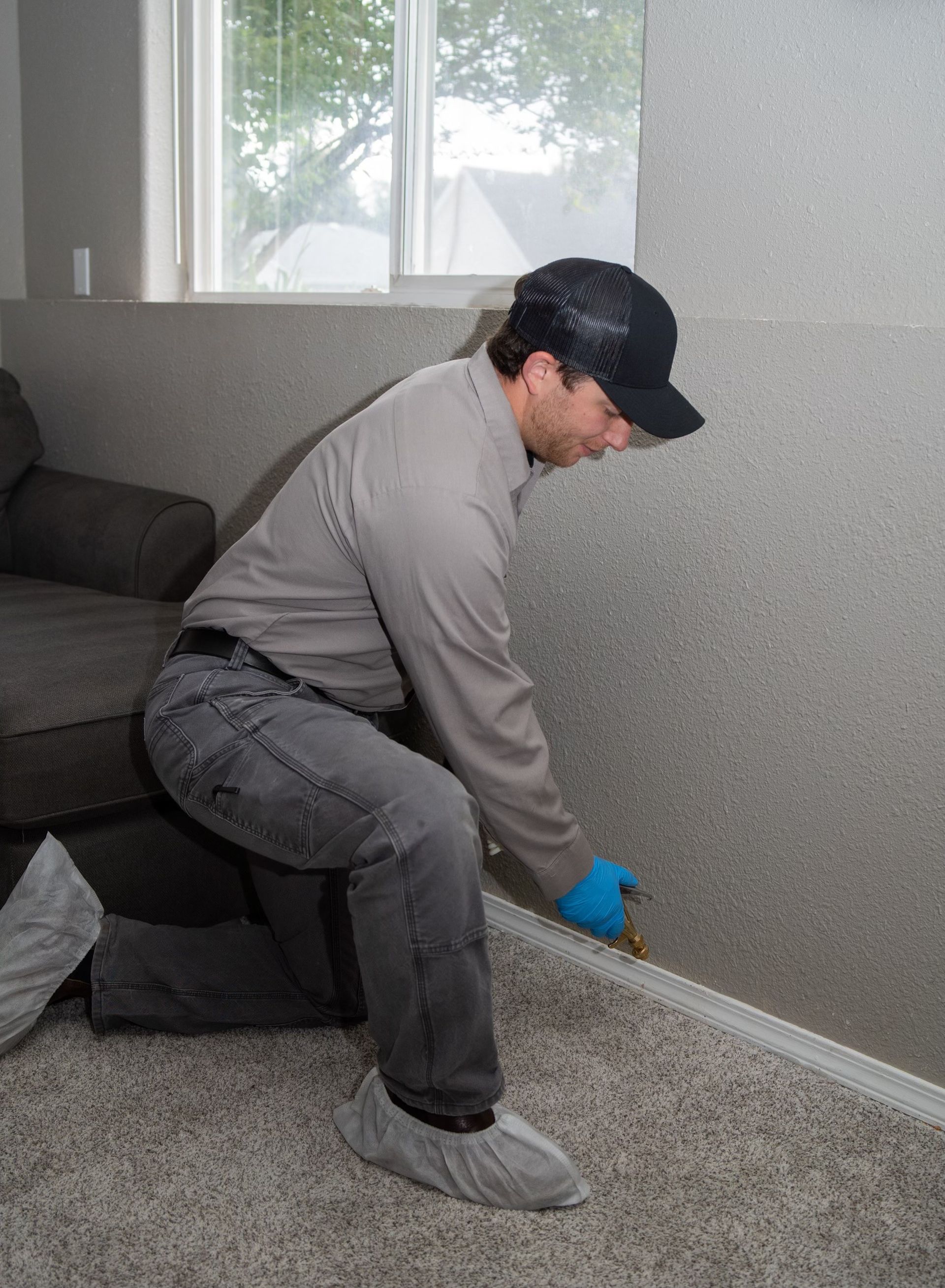 Interior pest control spray