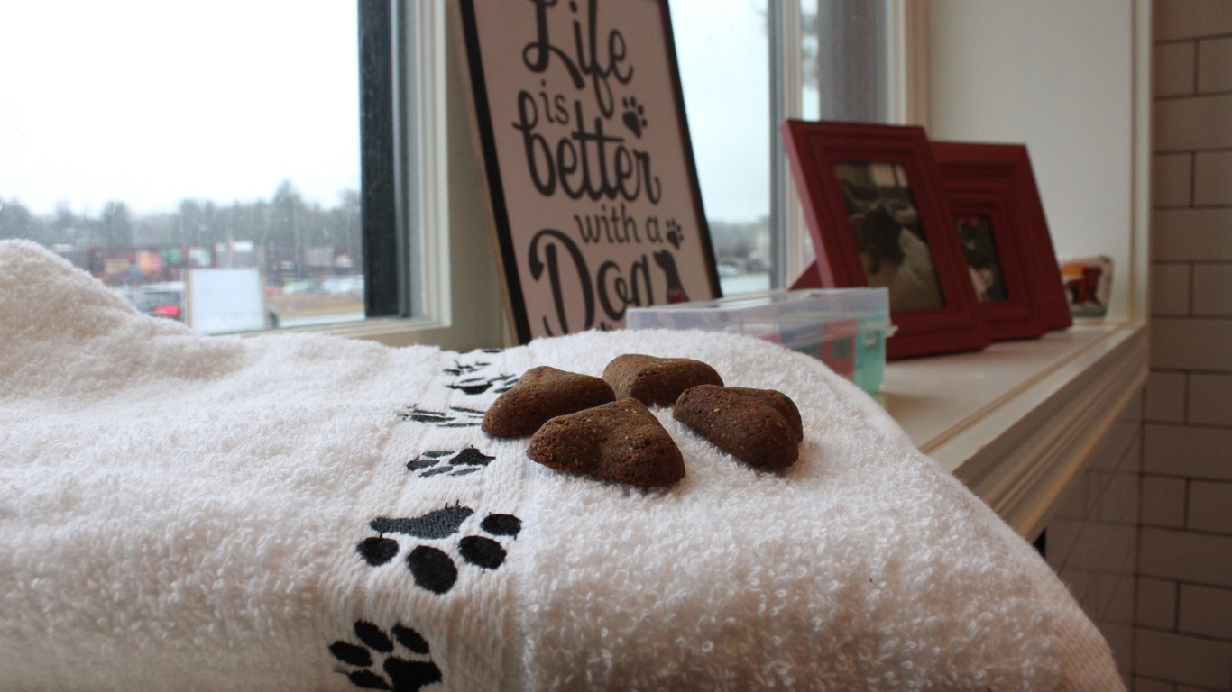 A white towel with paw prints on it is sitting on a window sill next to a sign that says life is better with dogs.