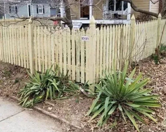 A yellow picket fence is surrounded by plants in front of a house.
