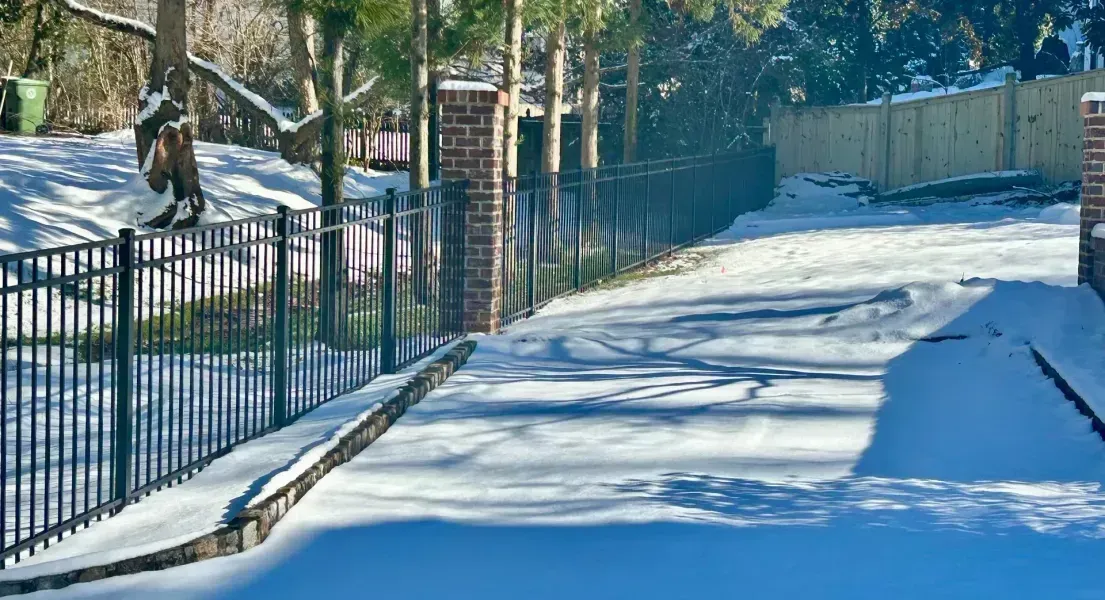A snowy driveway with a fence and trees in the background.