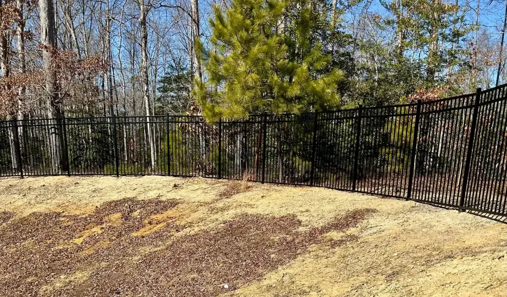 A black fence surrounds a lush green field with trees in the background.
