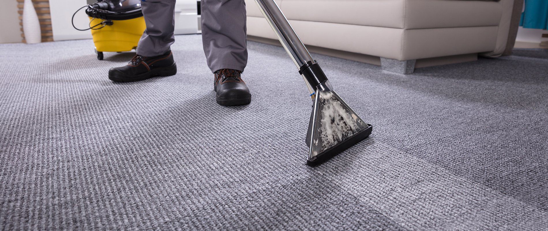 Carpet Cleaning Hickory, NC Reed's Cleaning B Services LLC