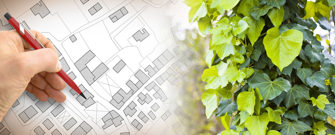 A hand with a red pen traces a building site plan, contrasted against a background of lush green ivy leaves.