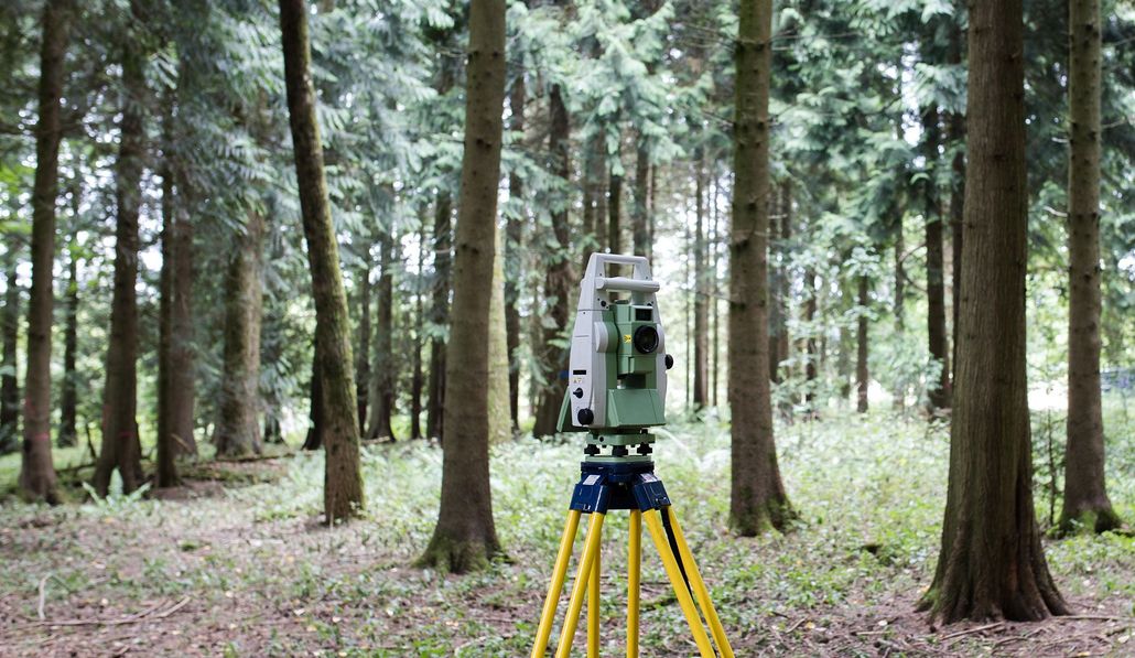 A surveyor's total station on a yellow tripod stands in a lush forest clearing surrounded by tall pine trees.