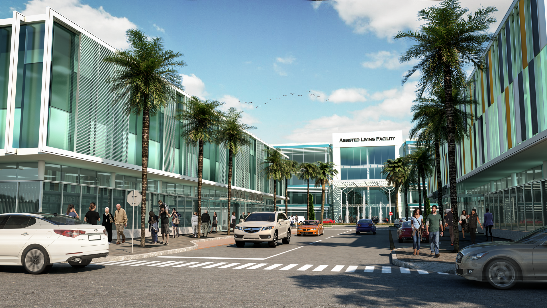 Cars are driving down a street in front of a building with palm trees