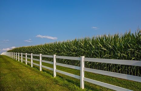 Split Rail Fence