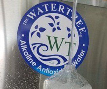 Alkaline Water