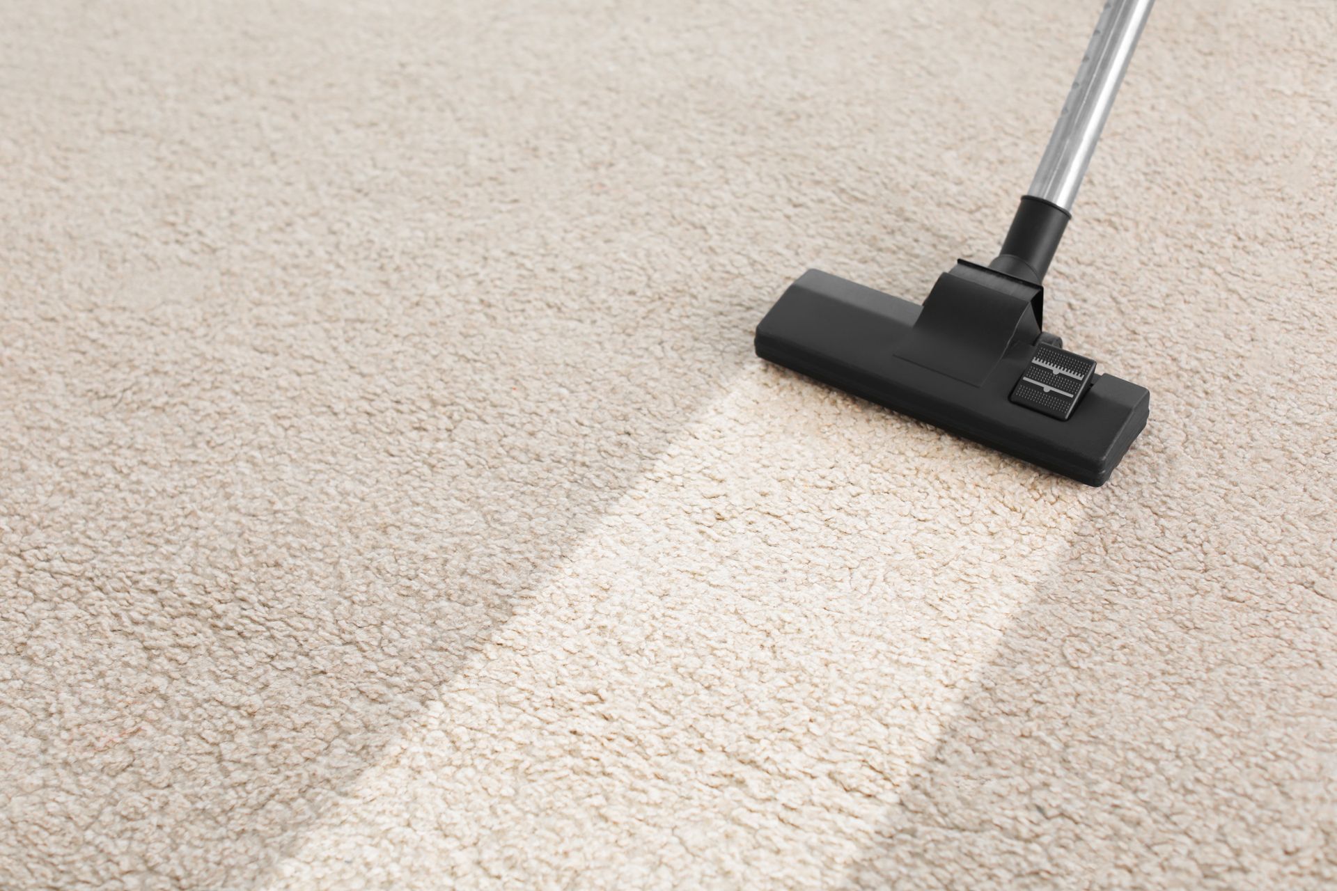 Vacuum cleaner head cleaning a beige carpet, creating a visible clean strip.