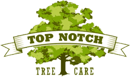 Top Notch Tree Care - Logo