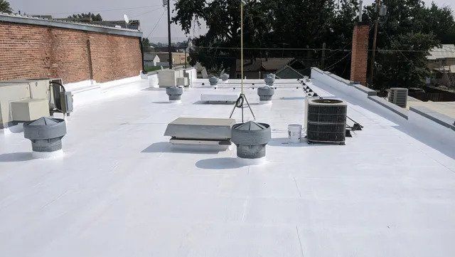 Commercial roof
