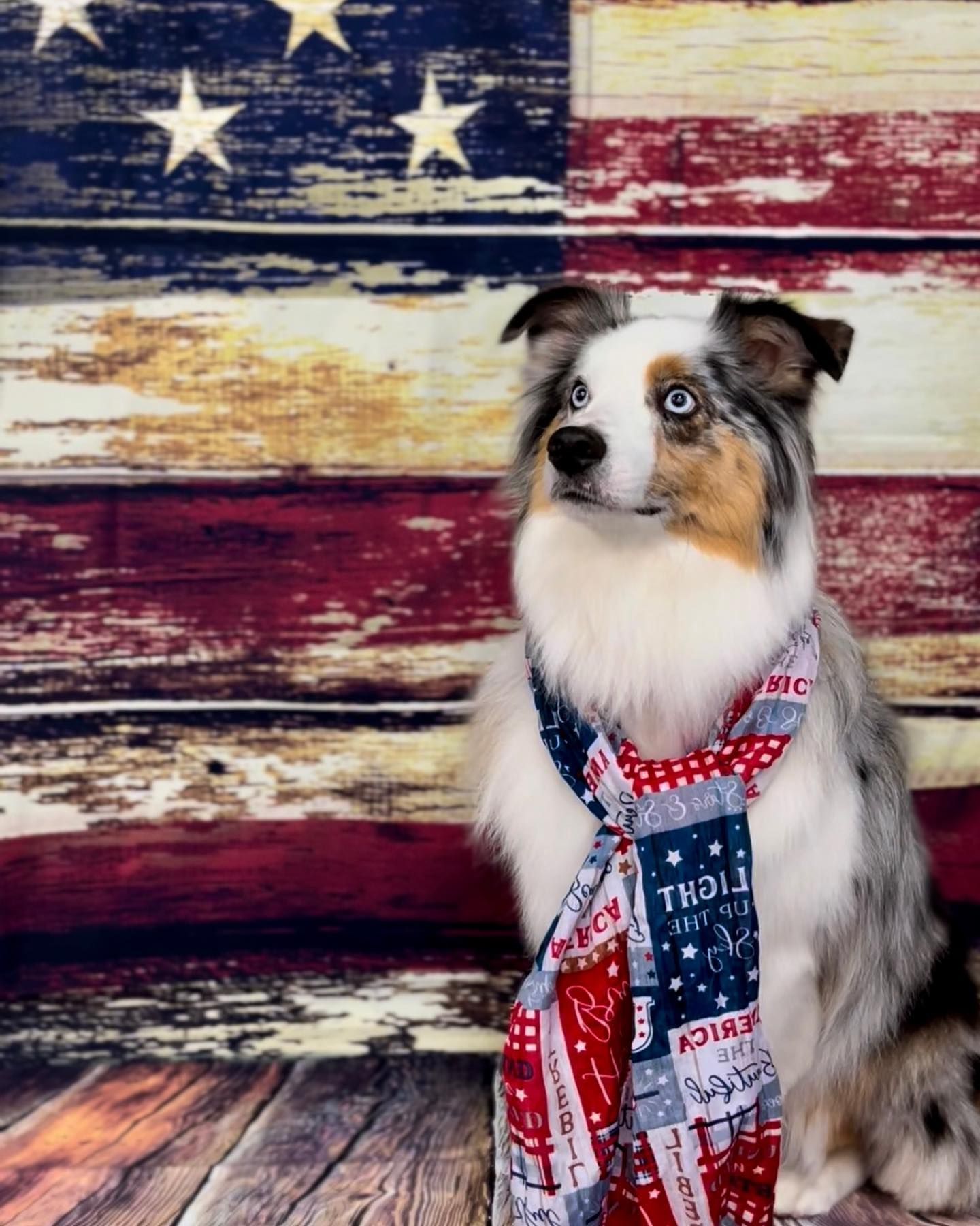 A dog wearing a scarf is sitting in front of an American flag.