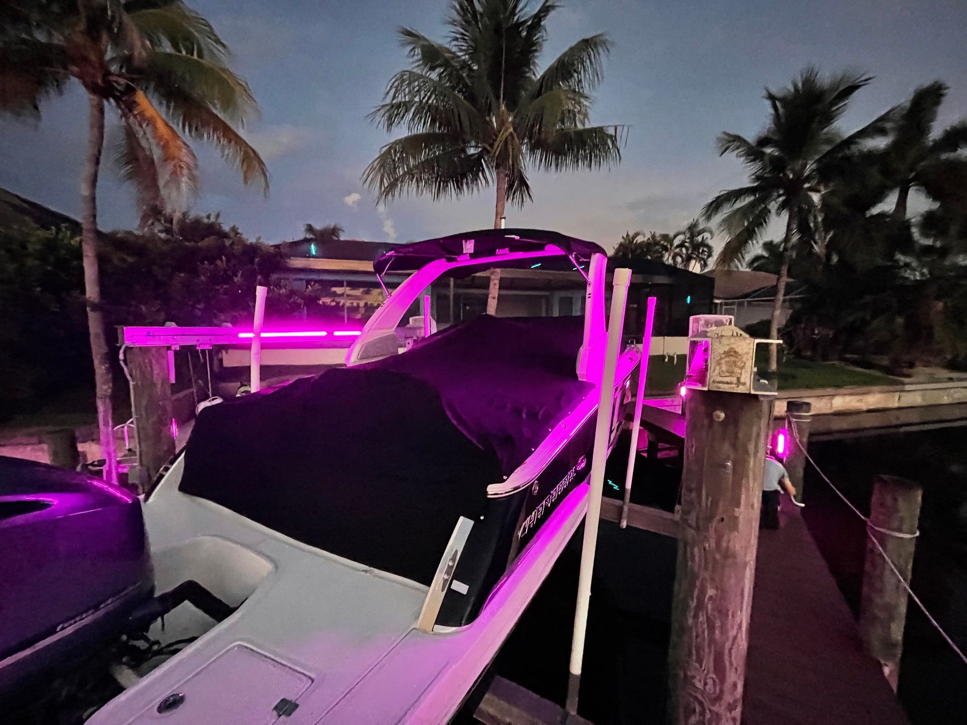 Boat docked at night, illuminated with pink lights. Palm trees in the background.