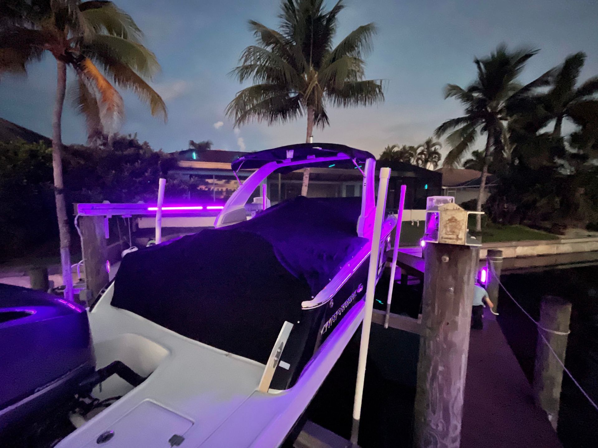 Boat docked at night with purple lighting on the dock and palm trees in the background.