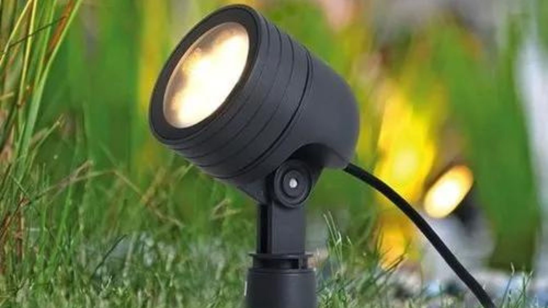 Black spotlight illuminates lush green grass and vegetation outdoors.