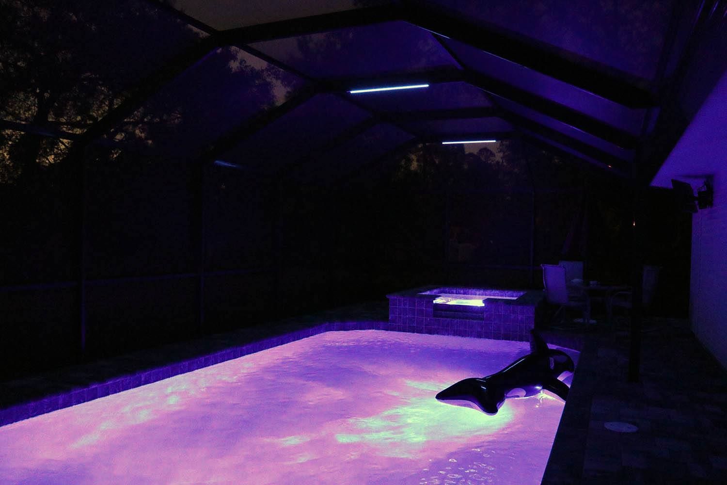 Pool with purple lighting at night. Covered area, jacuzzi, and dark trees.