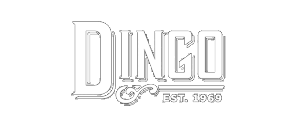 Dingo logo with stylized text and a decorative element below the word, 