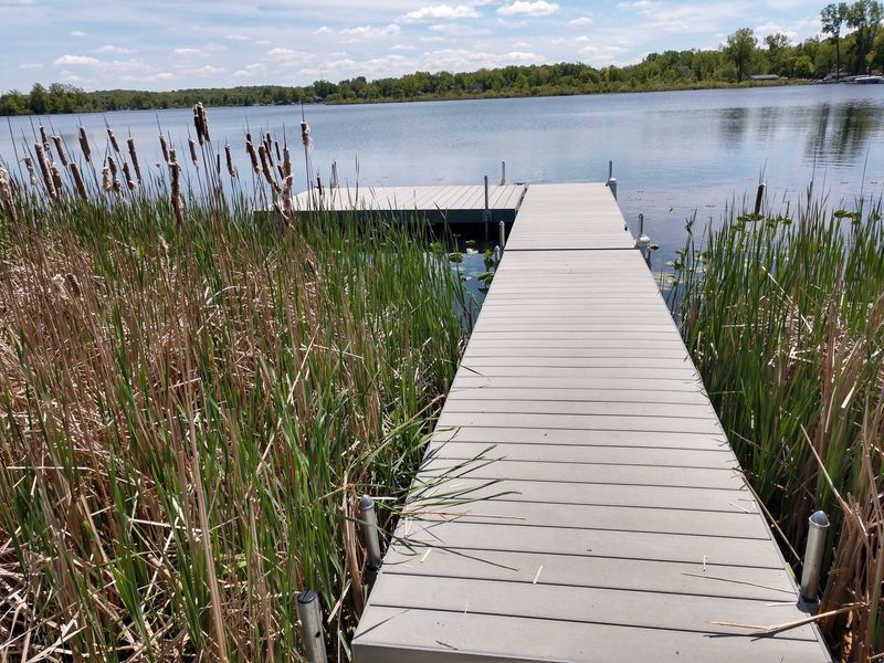 Dock extends into a lake, surrounded by reeds and cattails, under a blue sky.