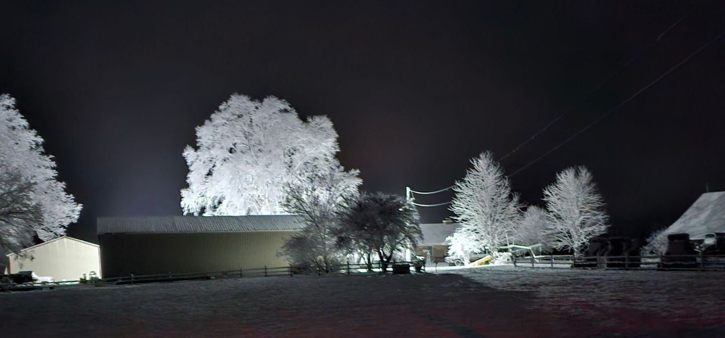 A field at night with trees