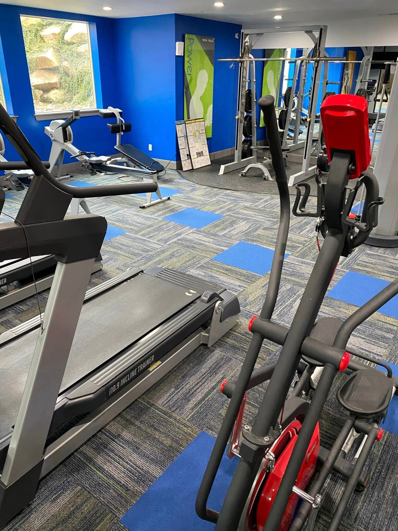 There are many different types of exercise equipment in this gym.