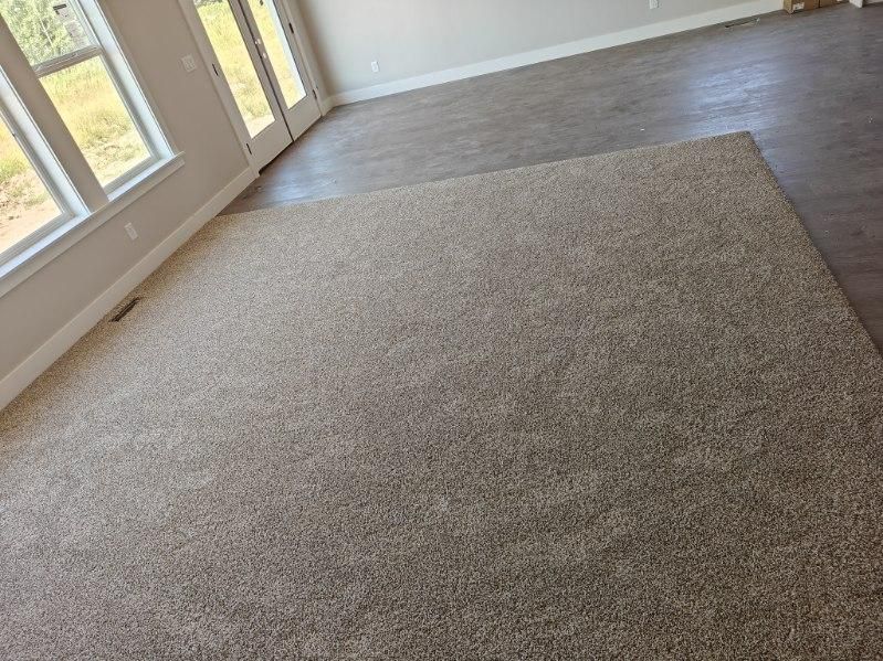 There is a large rug on the floor in the middle of the room.