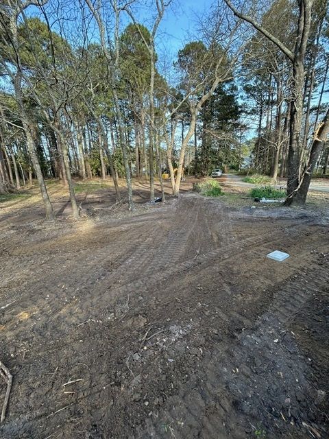 A dirt road in the middle of a forest with trees in the background.