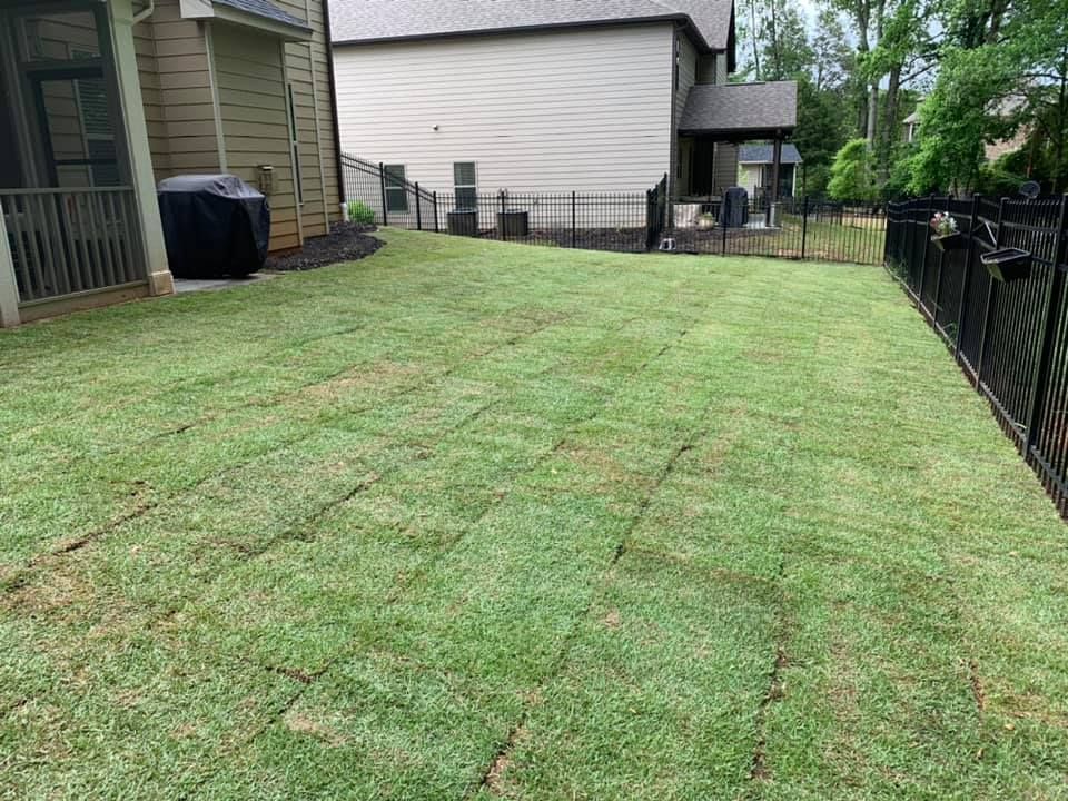 A large lawn with a fence and a house in the background.