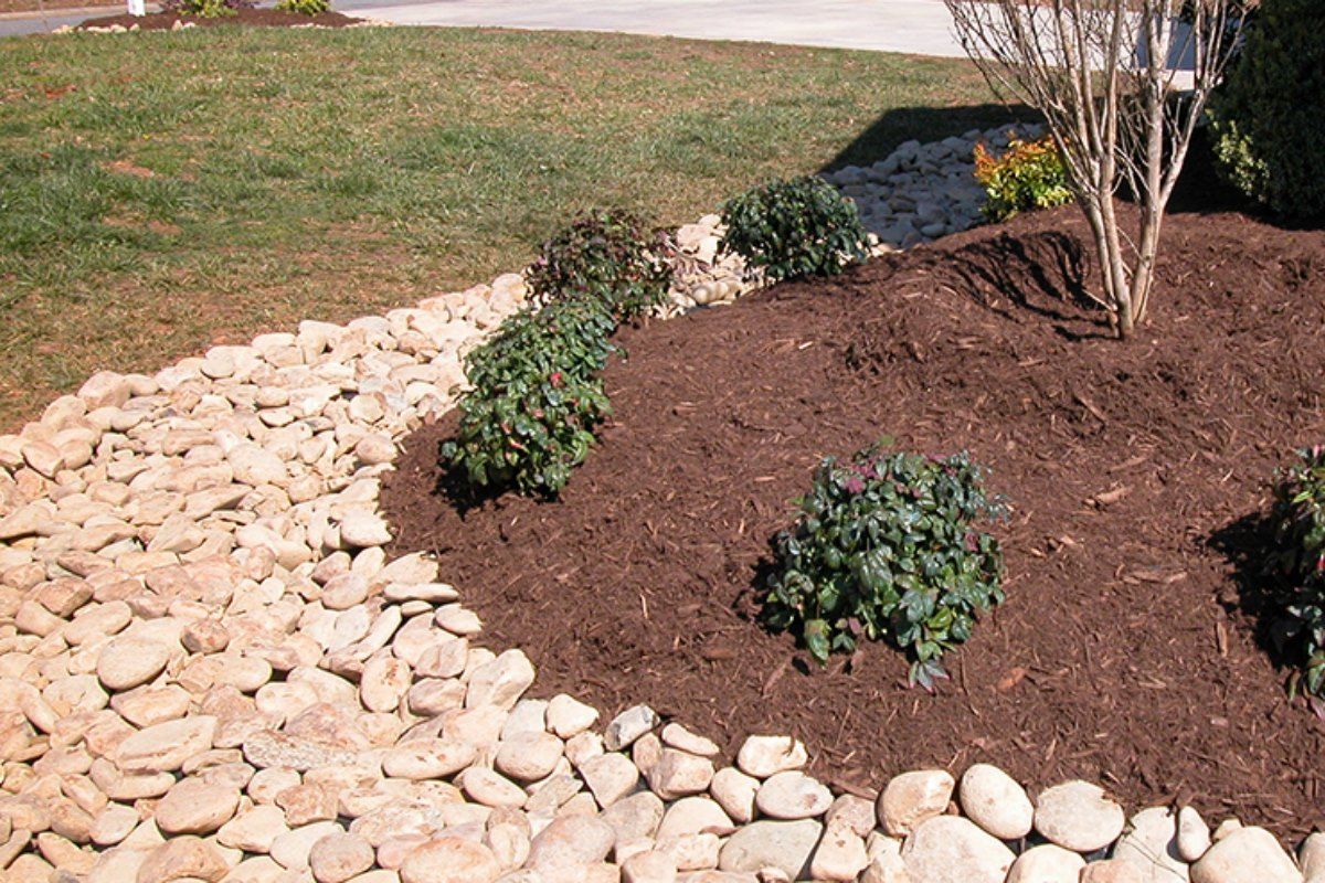 A garden with rocks and mulch and a tree in the middle
