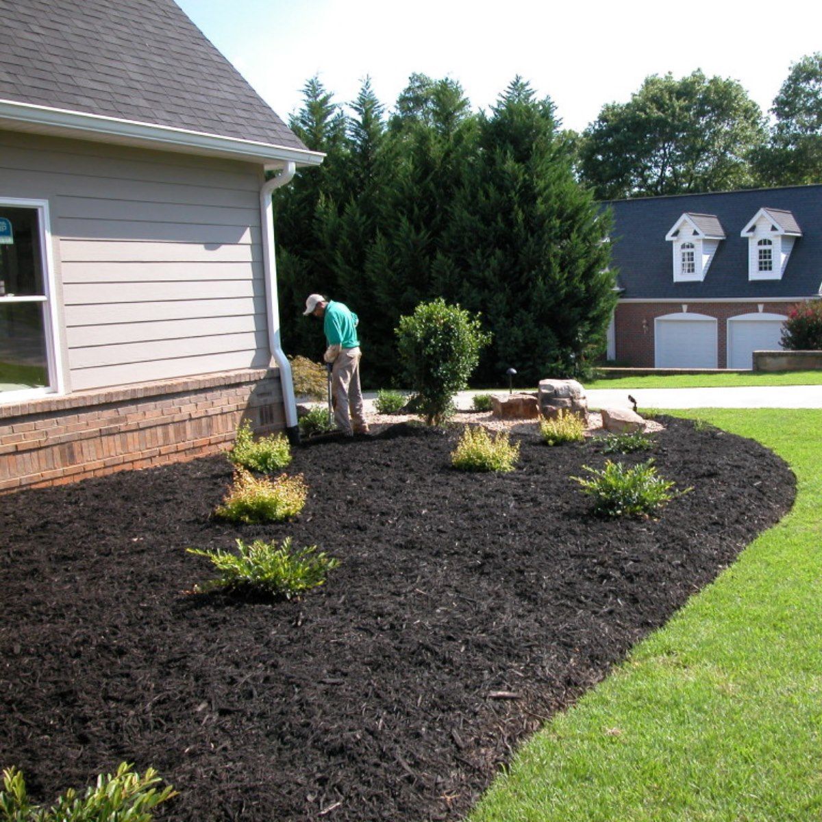 A man in a green shirt is working in a garden