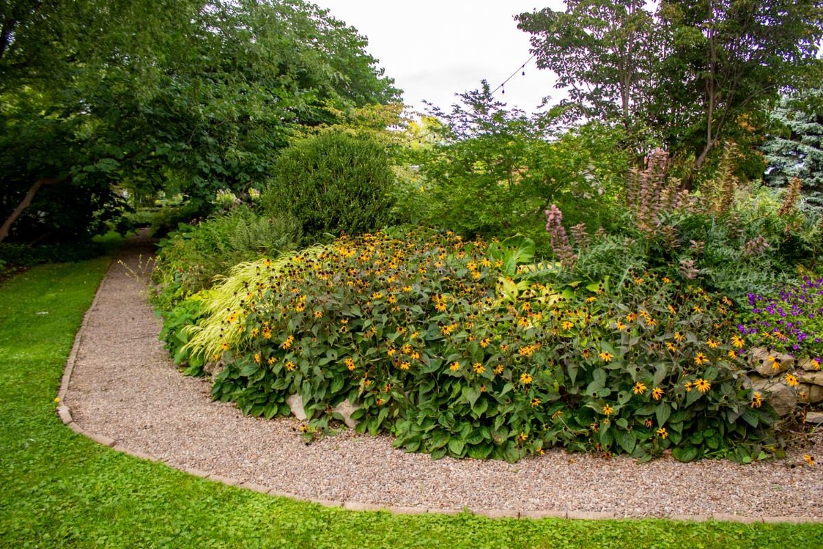 A gravel path winds through a garden filled with lots of plants and flowers.