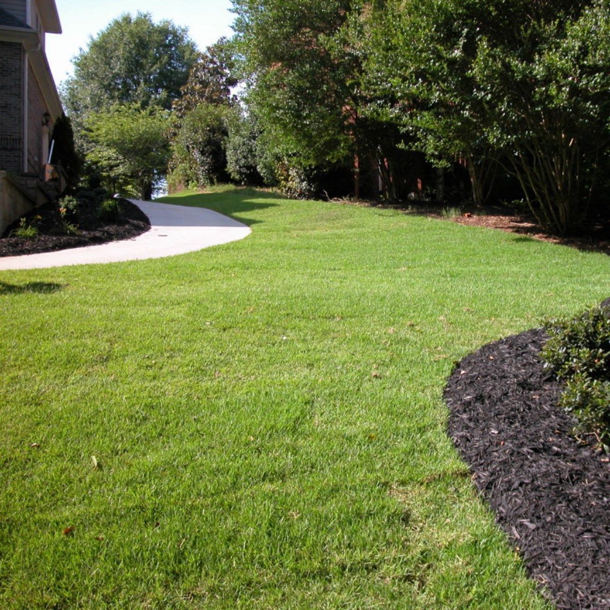 A lush green lawn with a driveway leading to a house