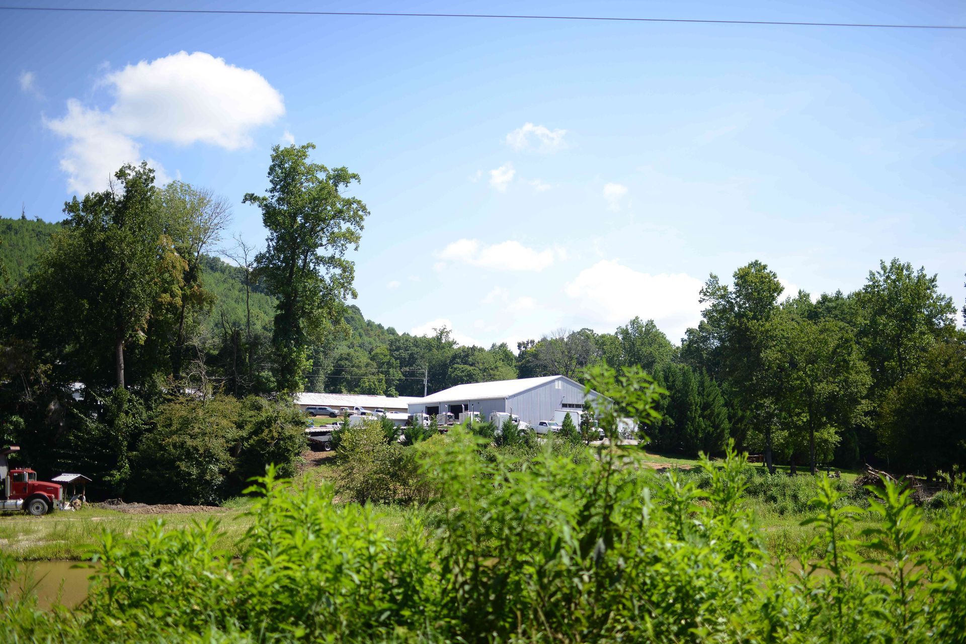 Green field with tall grass, trees, and a white building under a bright blue sky