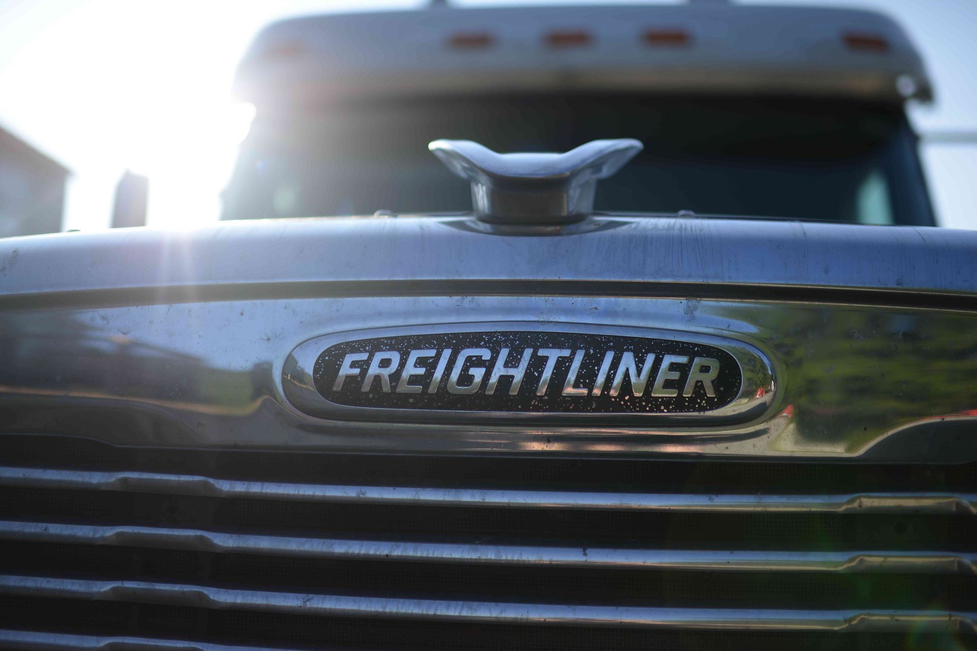 Close-up of a Freightliner truck grille and hood emblem, front view