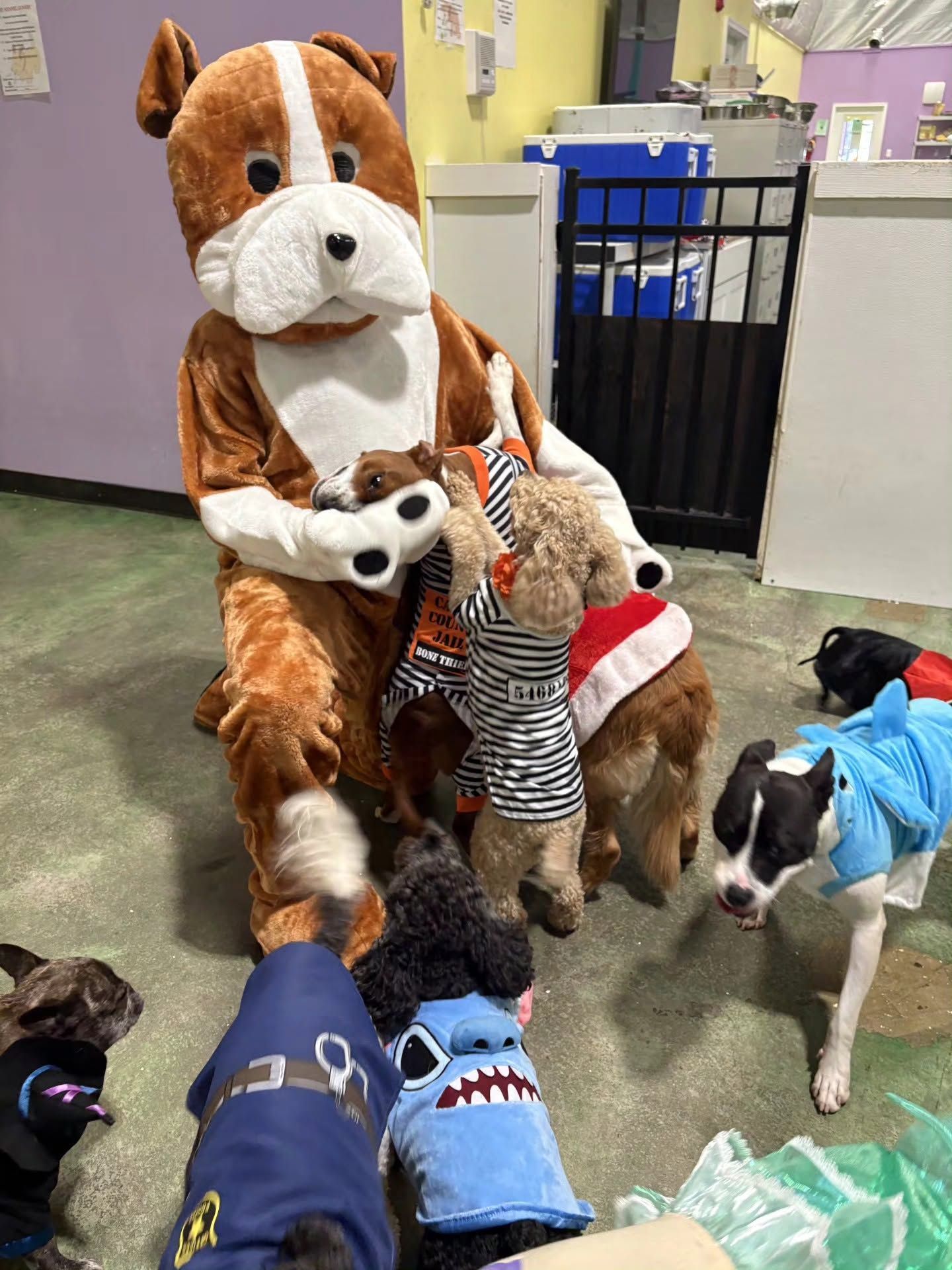 Person in a dog costume kneels with several dogs in a shelter-like room.