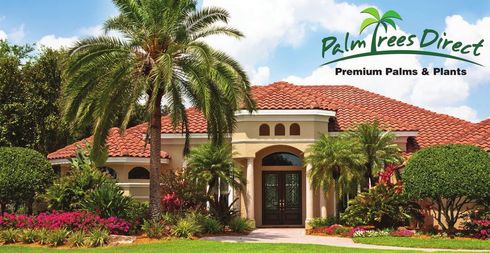 Palm Trees Direct storefront with red tile roof, palm trees, and bright flower landscaping