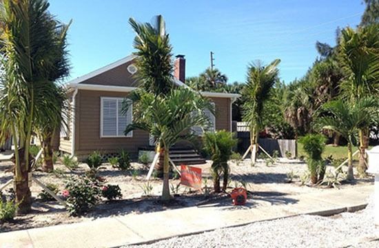 Small house with palm trees and a white gravel yard under a bright blue sky
