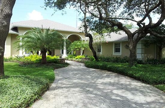 Front view of a house with a curved driveway, palm trees, and lush green landscaping