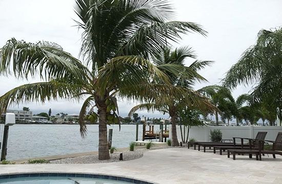 Palm trees and lounge chairs on a waterfront patio beside calm water under a cloudy sky