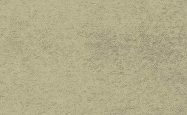 Beige textured background with subtle mottled appearance.